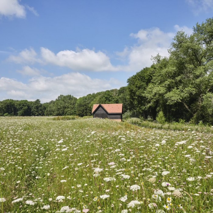 East West Rail bat house