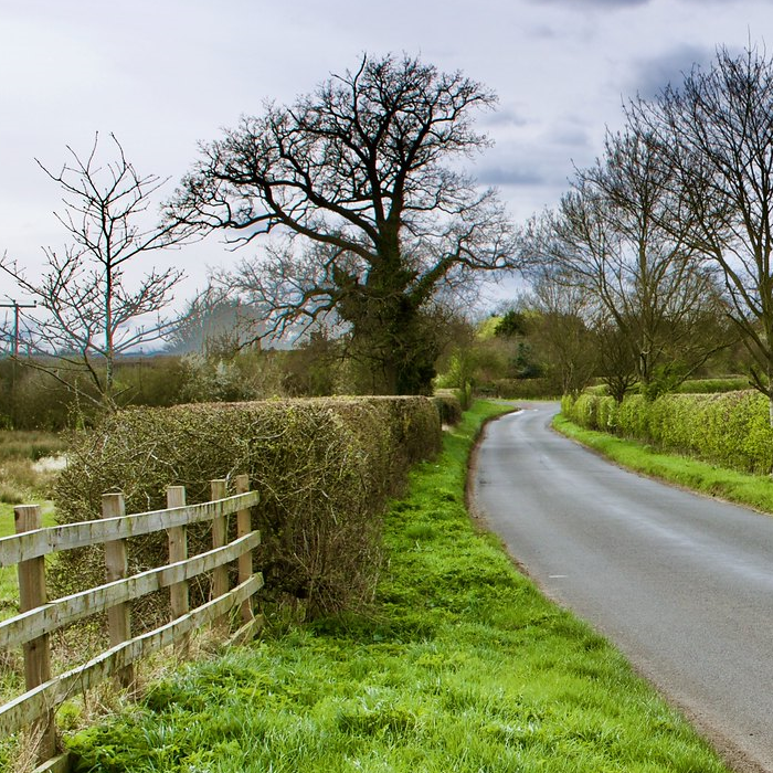 Land surveys